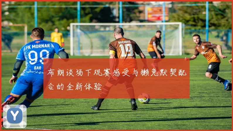 布朗谈场下观赛感受与獭兔默契配合的全新体验